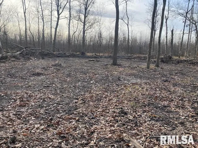 $53,000 | 300th Avenue, Sumner, IL 62466