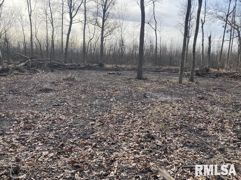 300th Avenue Sumner, IL 62466 - Photo 16 of 30