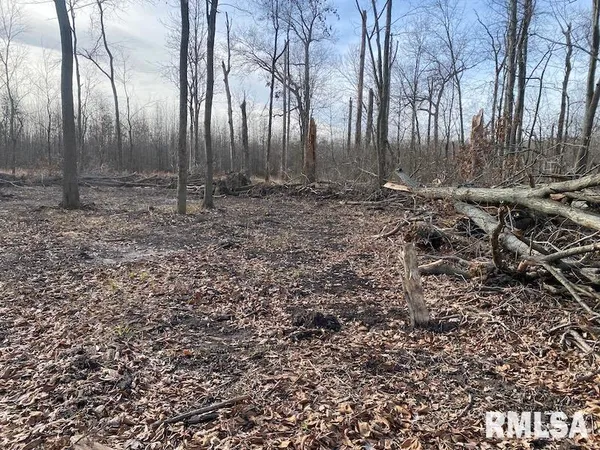 $42,750 | 300th Avenue, Sumner, IL 62466