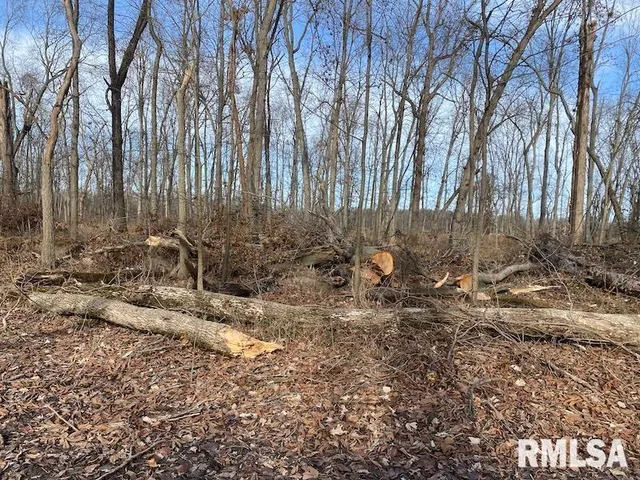 $53,000 | 300th Avenue, Sumner, IL 62466