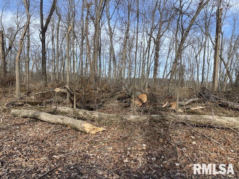 300th Avenue Sumner, IL 62466 - Photo 18 of 30