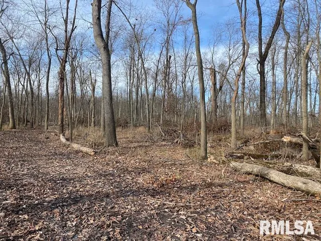 $53,000 | 300th Avenue, Sumner, IL 62466