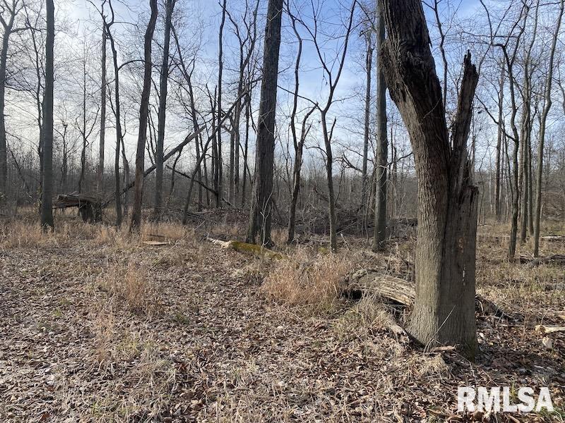 300th Avenue Sumner, IL 62466 - Photo 20 of 30