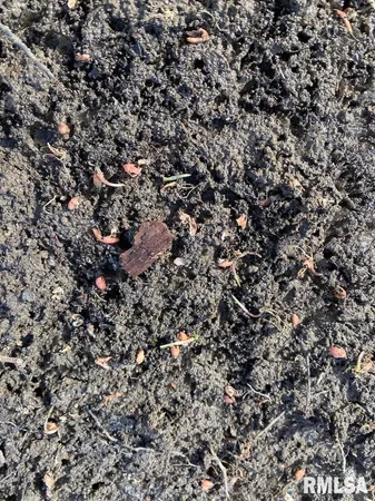 $42,750 | 300th Avenue, Sumner, IL 62466