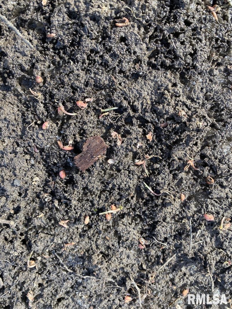 300th Avenue Sumner, IL 62466 - Photo 21 of 30