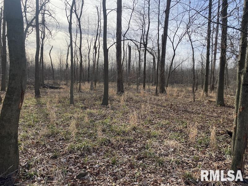 300th Avenue Sumner, IL 62466 - Photo 22 of 30