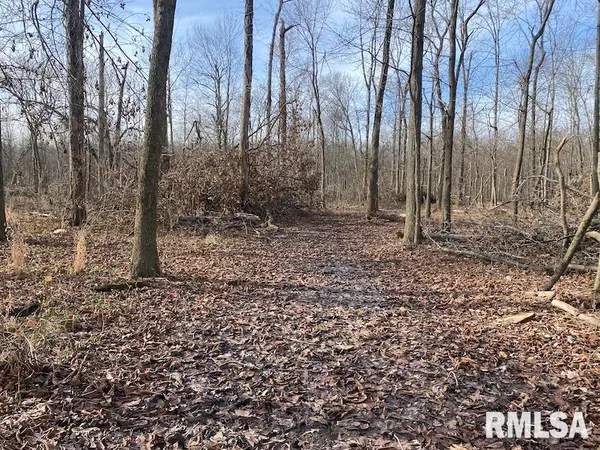 $42,750 | 300th Avenue, Sumner, IL 62466