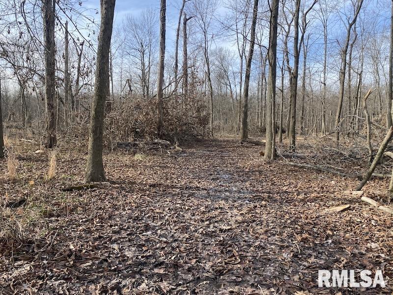 300th Avenue Sumner, IL 62466 - Photo 23 of 30