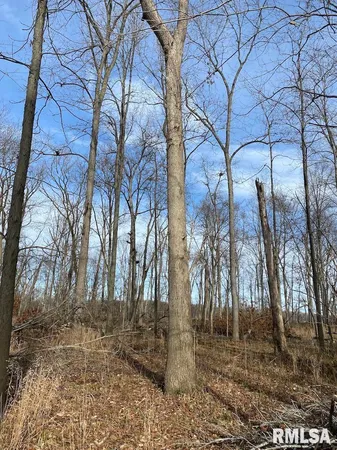 $42,750 | 300th Avenue, Sumner, IL 62466