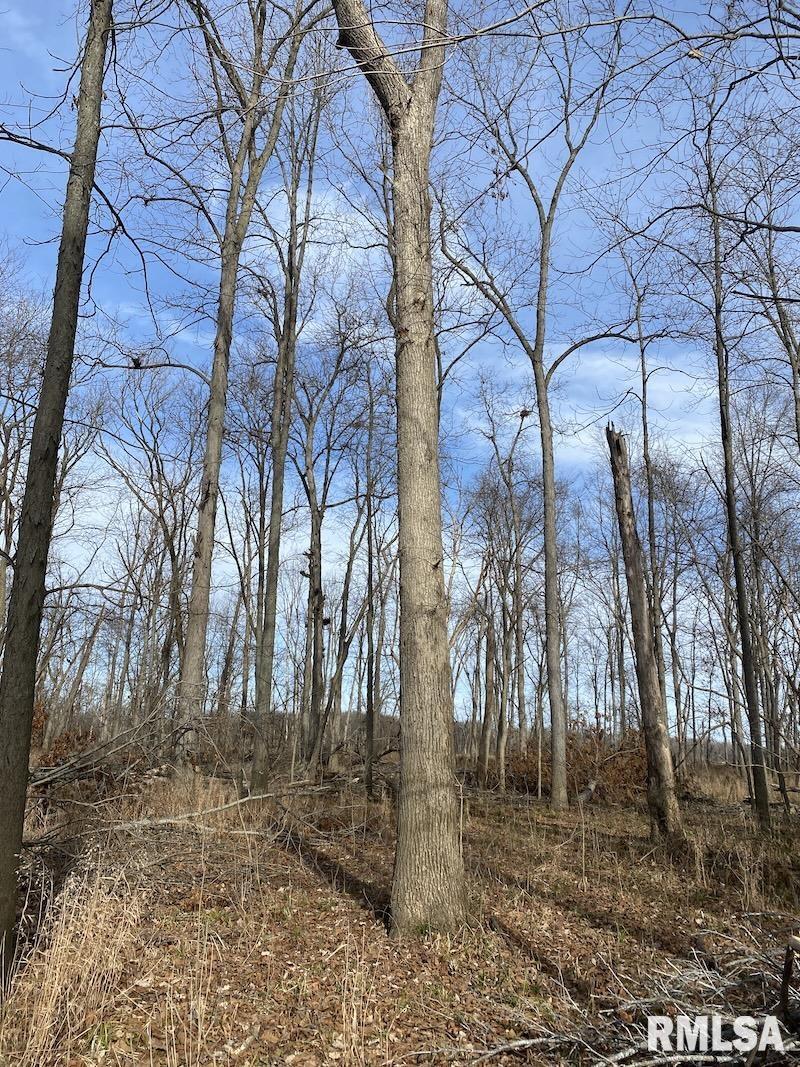 300th Avenue Sumner, IL 62466 - Photo 24 of 30