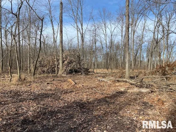 $42,750 | 300th Avenue, Sumner, IL 62466