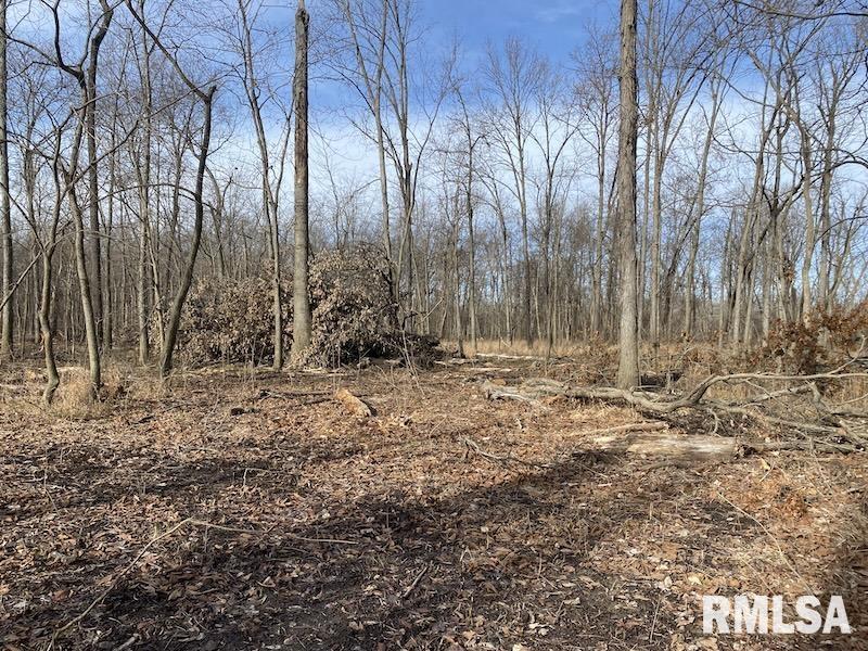 300th Avenue Sumner, IL 62466 - Photo 25 of 30