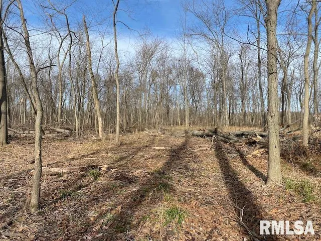 $53,000 | 300th Avenue, Sumner, IL 62466