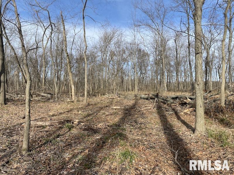 300th Avenue Sumner, IL 62466 - Photo 26 of 30