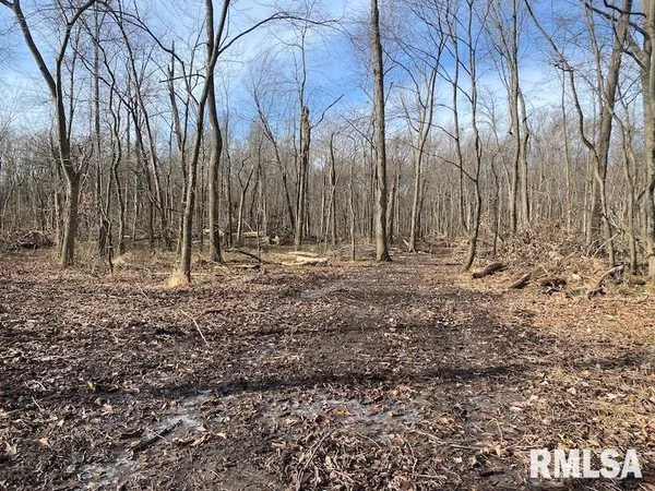 $42,750 | 300th Avenue, Sumner, IL 62466