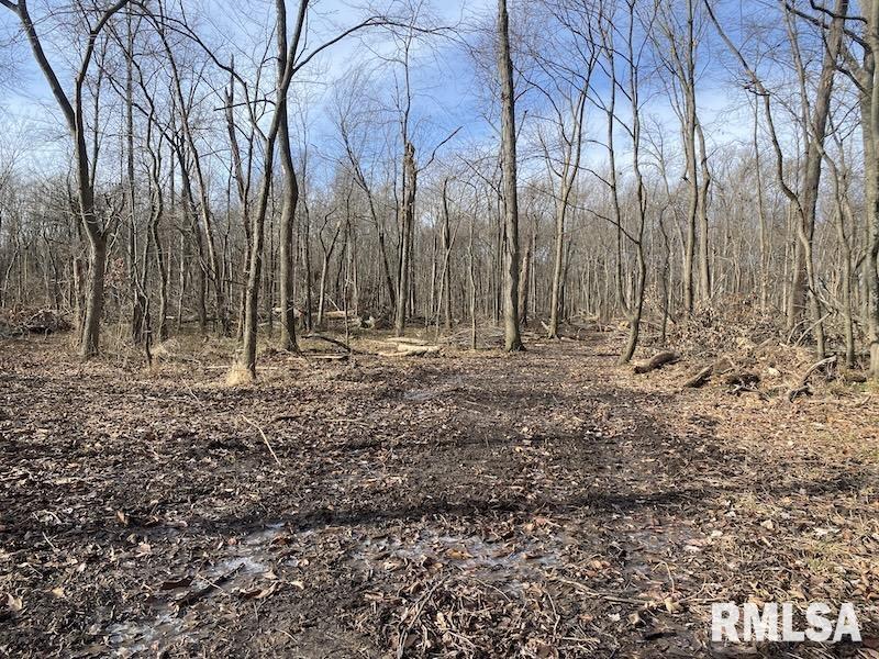 300th Avenue Sumner, IL 62466 - Photo 27 of 30