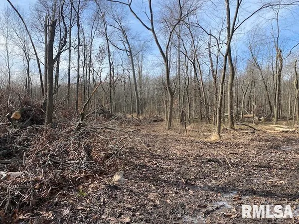 $42,750 | 300th Avenue, Sumner, IL 62466