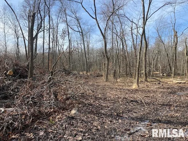 $53,000 | 300th Avenue, Sumner, IL 62466