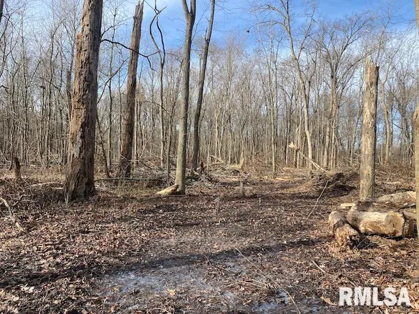 $42,750 | 300th Avenue, Sumner, IL 62466