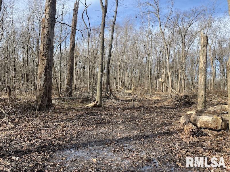 300th Avenue Sumner, IL 62466 - Photo 29 of 30