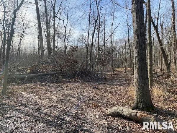 $42,750 | 300th Avenue, Sumner, IL 62466