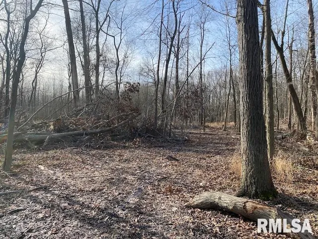 $53,000 | 300th Avenue, Sumner, IL 62466