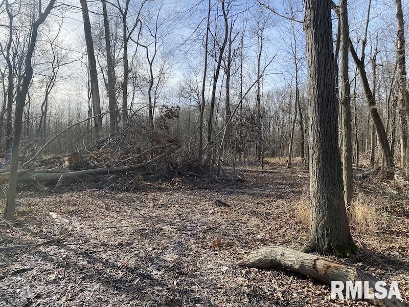 300th Avenue Sumner, IL 62466 - Photo 30 of 30