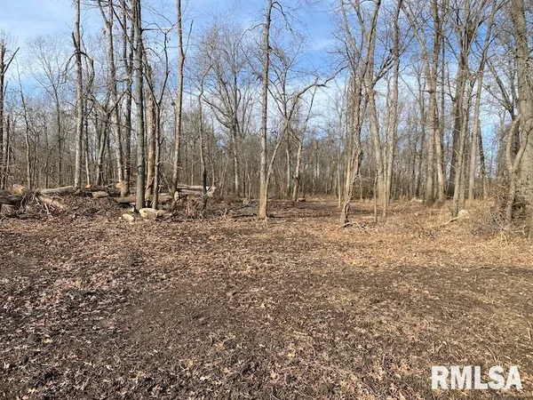 $42,750 | 300th Avenue, Sumner, IL 62466