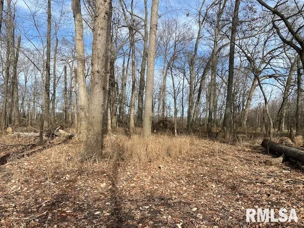 $42,750 | 300th Avenue, Sumner, IL 62466