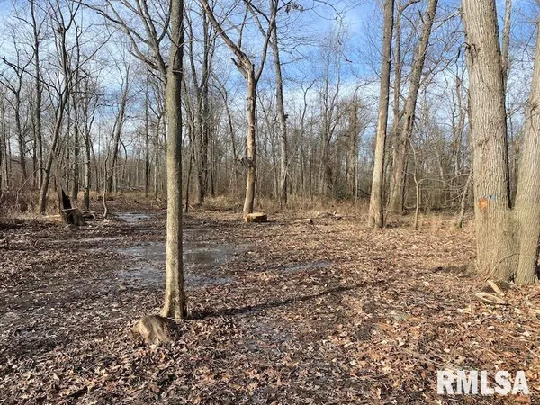 $42,750 | 300th Avenue, Sumner, IL 62466