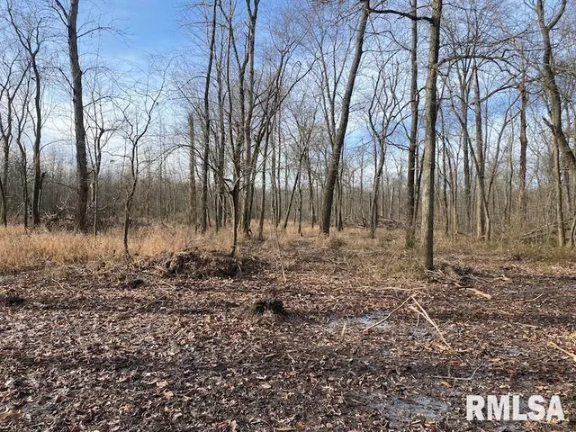 $53,000 | 300th Avenue, Sumner, IL 62466