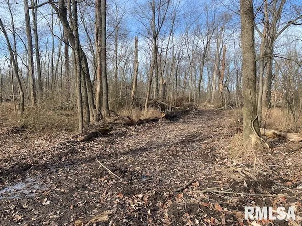 $42,750 | 300th Avenue, Sumner, IL 62466