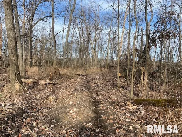 $42,750 | 300th Avenue, Sumner, IL 62466