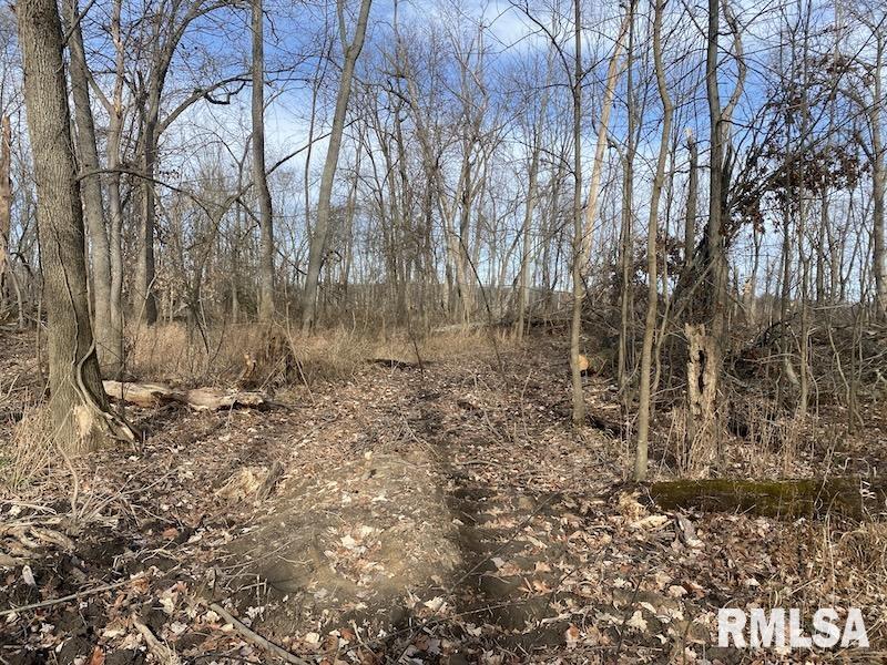 300th Avenue Sumner, IL 62466 - Photo 10 of 30