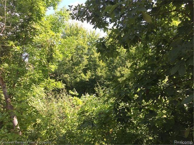 Vl North Briggsville Road Fowlerville, MI 48836 - Photo 5 of 10