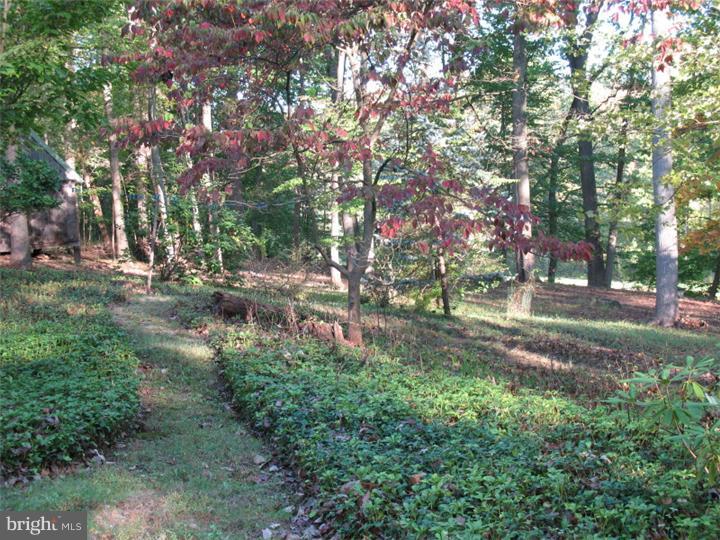 103 Warwick Road Yardley, PA 19067 - Photo 15 of 19 Gallery Image 15