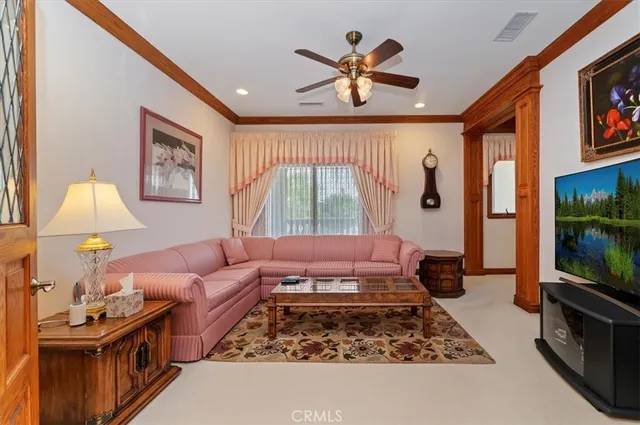 a view of dirt yard with a large tree