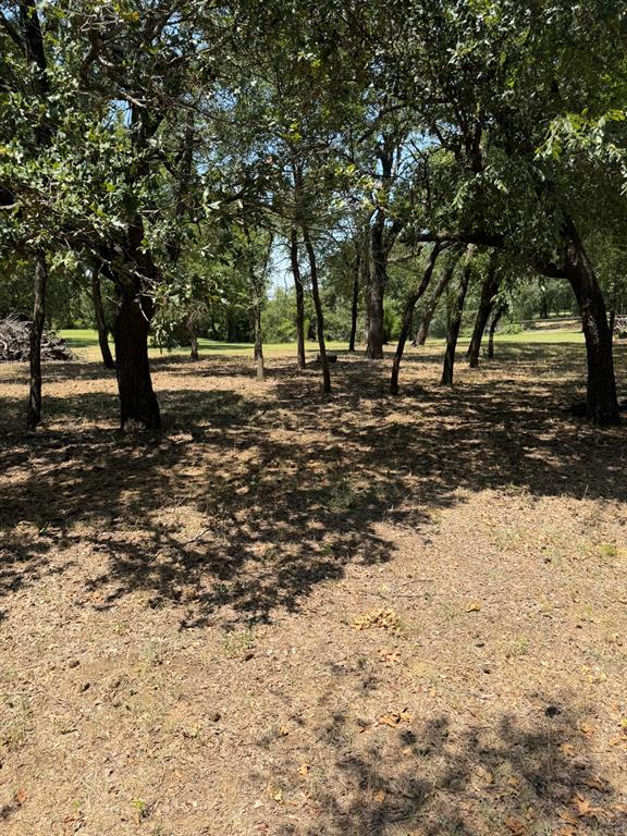 2300 Spring Mountain Road Cross Roads, TX 76227 - Photo 12 of 19 Wooded grounds featuring mature trees and dappled sunlight