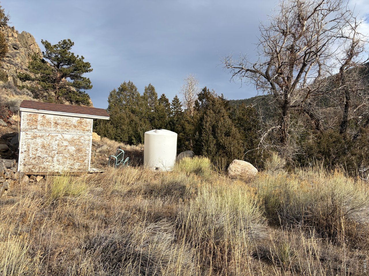 32370 Poudre Canyon Road Bellvue, CO 80512 - Photo 14 of 30 a view of a back yard
