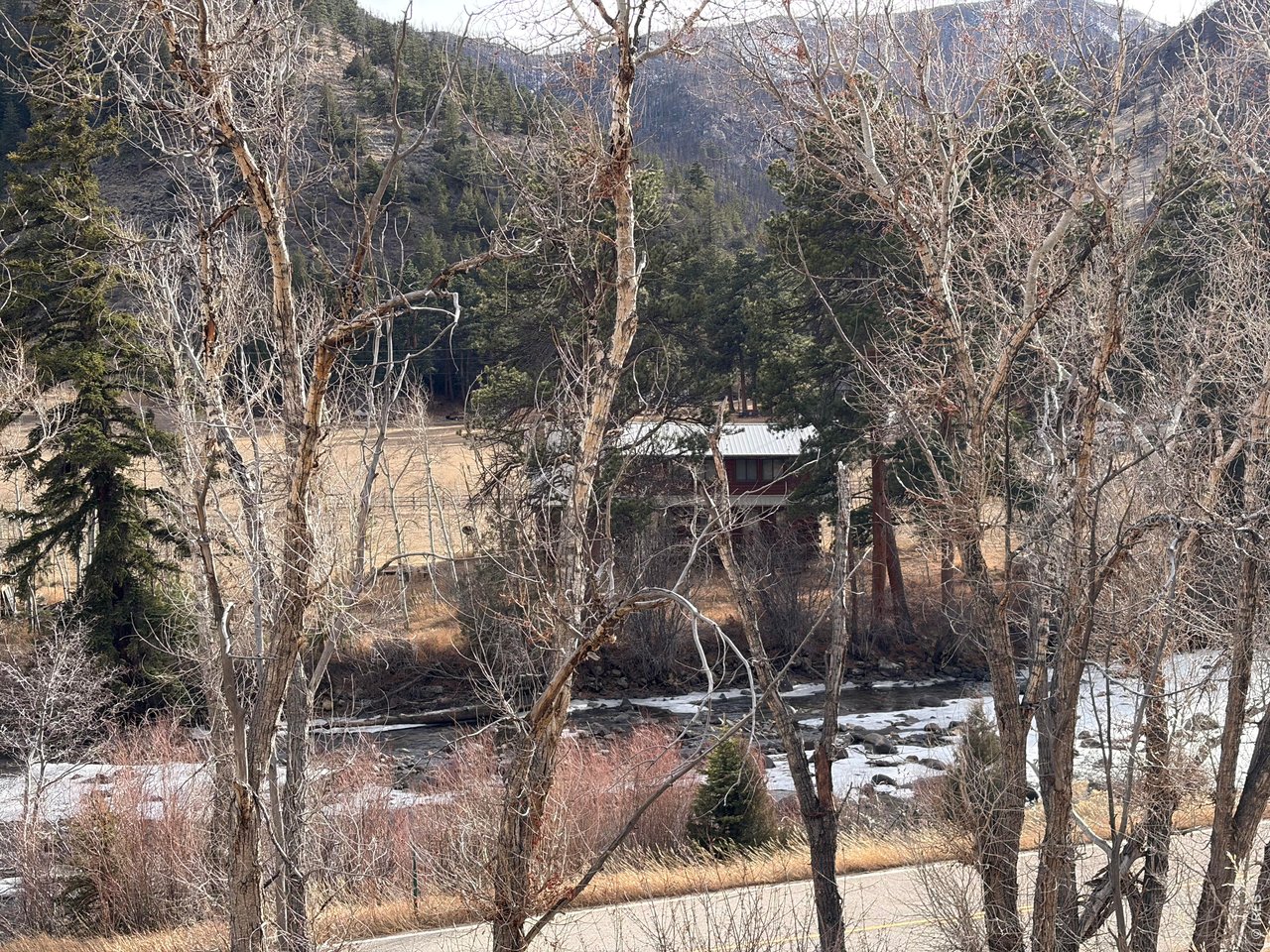 32370 Poudre Canyon Road Bellvue, CO 80512 - Photo 18 of 30 a backyard of a house with lots of trees