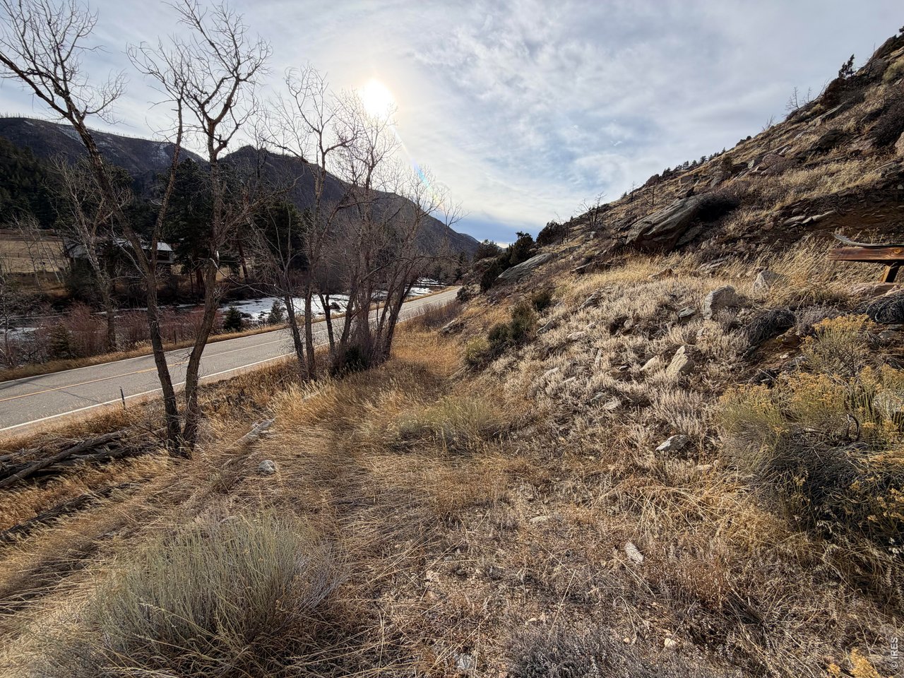 32370 Poudre Canyon Road Bellvue, CO 80512 - Photo 23 of 30 a view of a backyard of the house