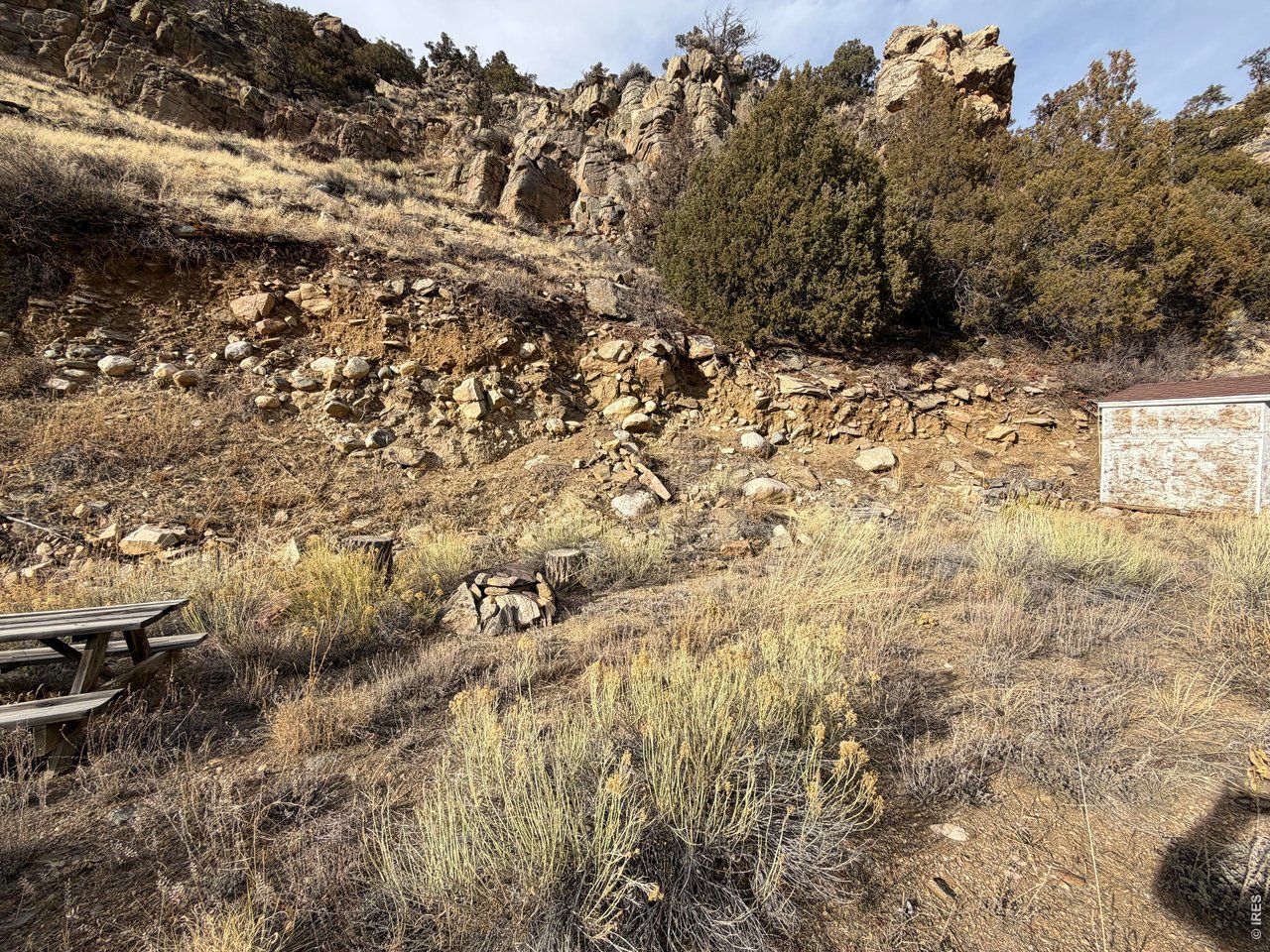 32370 Poudre Canyon Road Bellvue, CO 80512 - Photo 24 of 30 a view of a yard with a tree