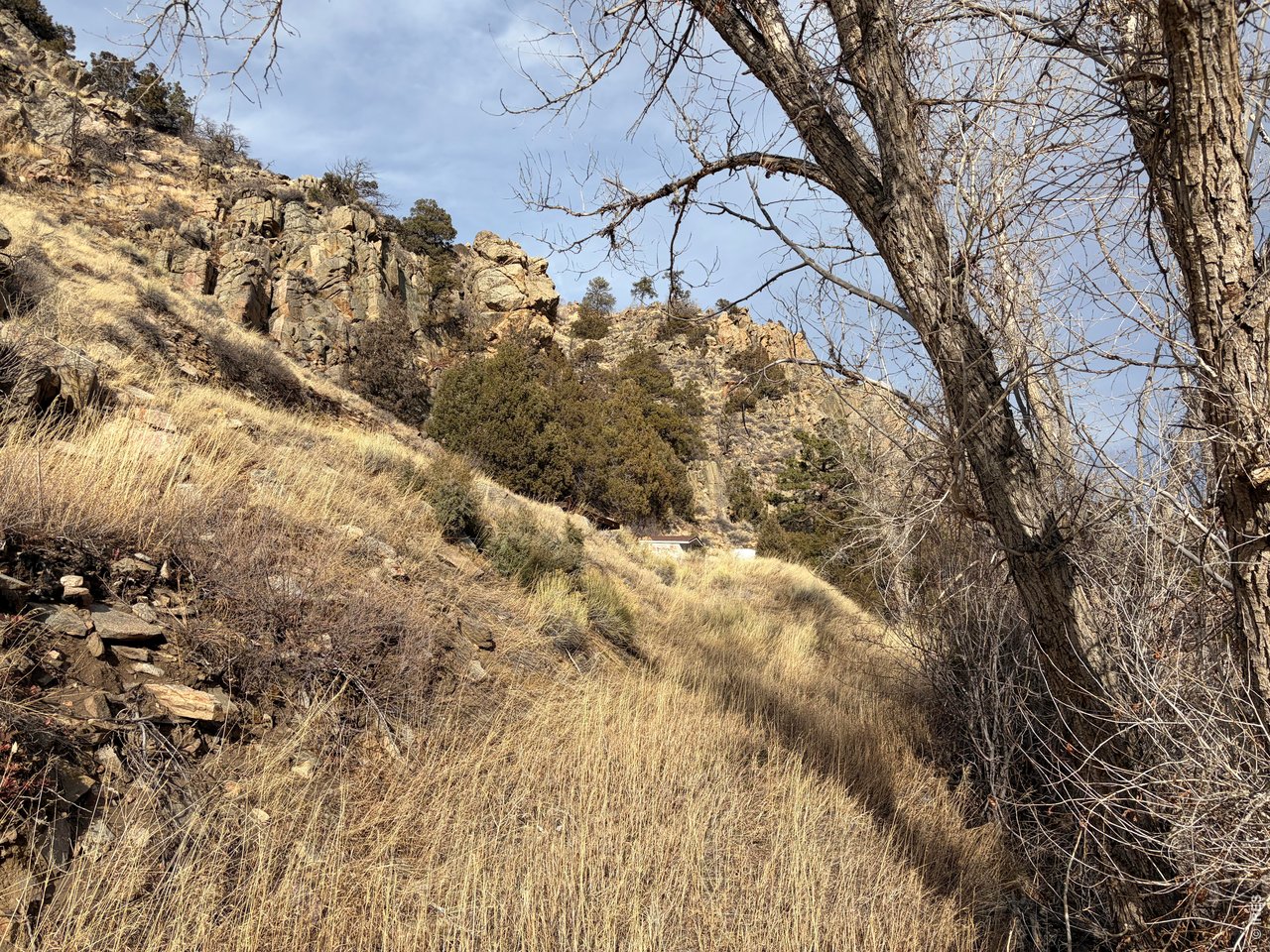 32370 Poudre Canyon Road Bellvue, CO 80512 - Photo 25 of 30 a view of a large yard with a tree