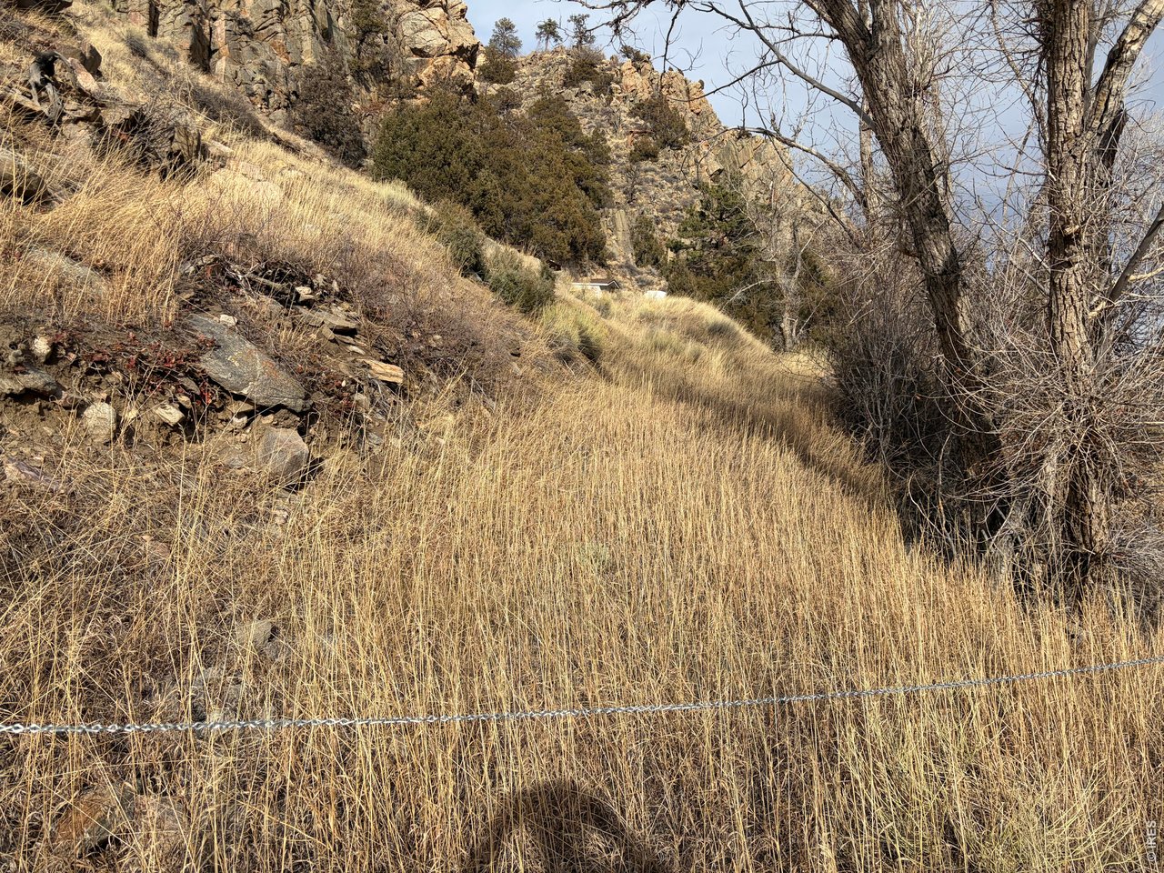 32370 Poudre Canyon Road Bellvue, CO 80512 - Photo 8 of 30 a view of a yard with plants and wooden fence