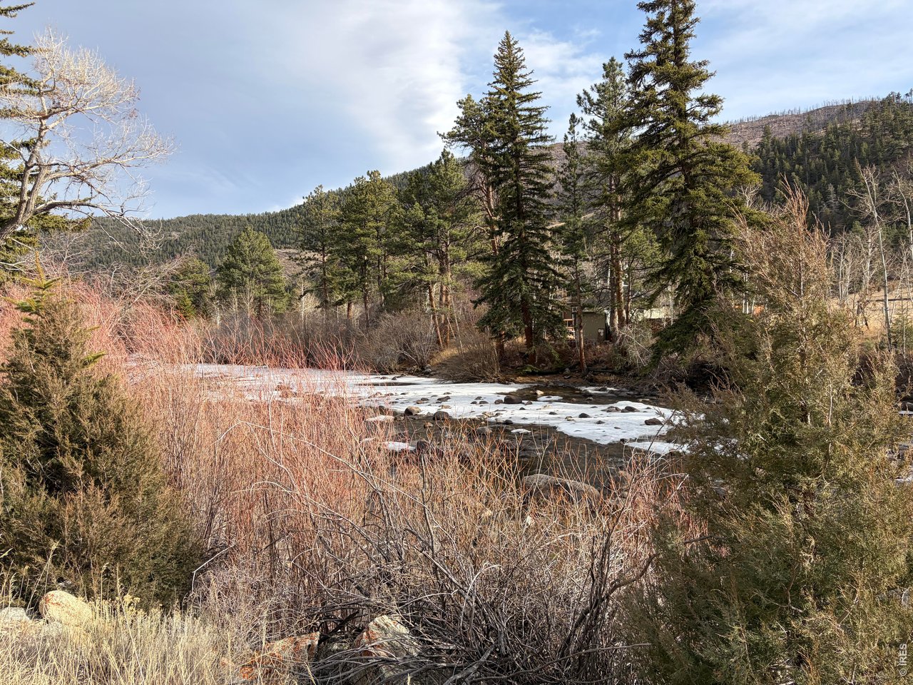 32370 Poudre Canyon Road Bellvue, CO 80512 - Photo 9 of 30 a view of outdoor space and yard