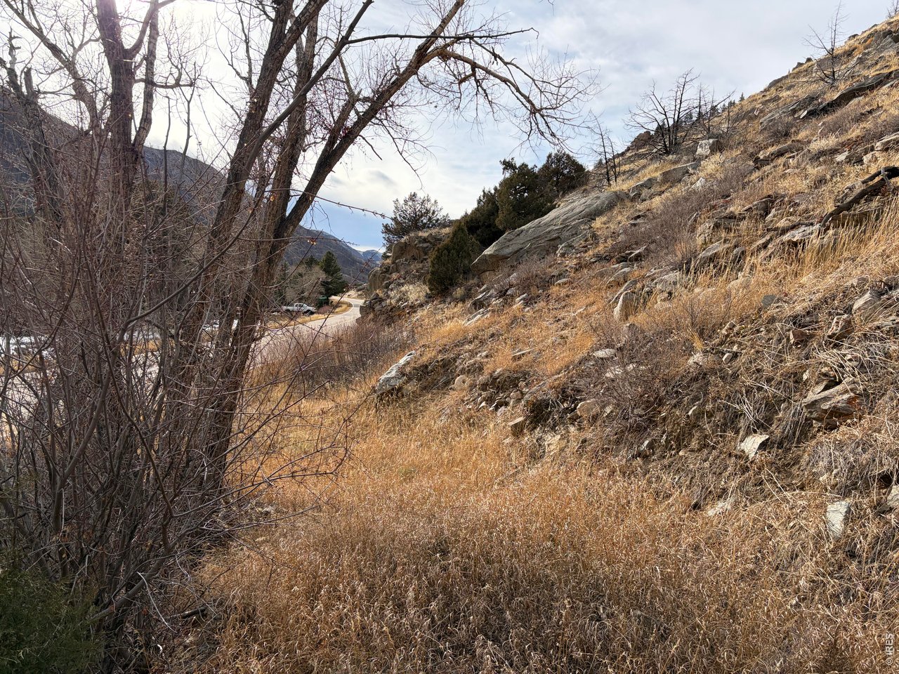 32370 Poudre Canyon Road Bellvue, CO 80512 - Photo 10 of 30 a view of a yard with trees