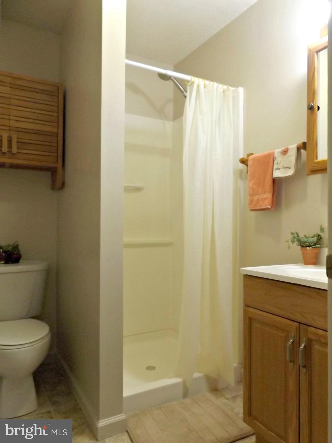 200 Russell Road Berryville, VA 22611 - Photo 19 of 27 Bath 2