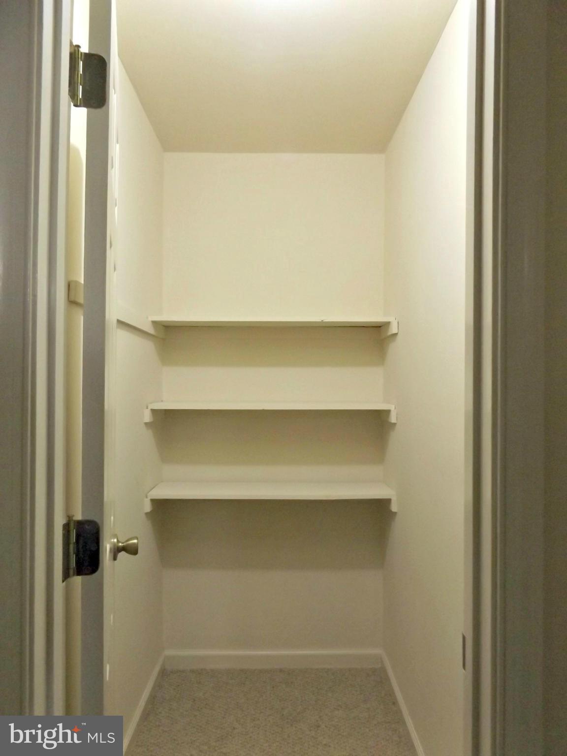200 Russell Road Berryville, VA 22611 - Photo 21 of 27 Hall Closet