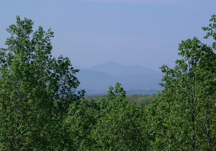 Lot 54 Turtle Rock Ridge Blue Ridge, VA 24064 - Photo 12 of 19 a view of a garden