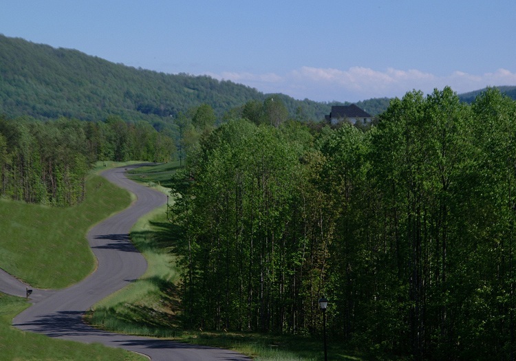 Lot 54 Turtle Rock Ridge Blue Ridge, VA 24064 - Photo 16 of 19 a view of a city with lush green forest